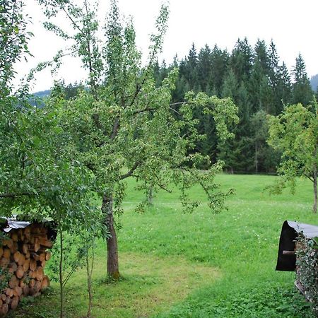 Hofstelle Auer Apartamento Gosau Exterior foto