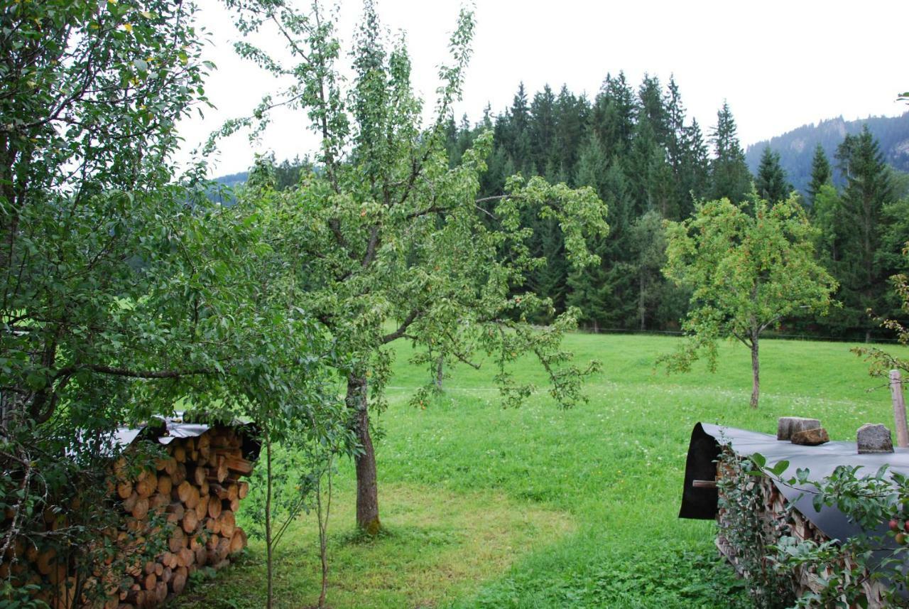 Hofstelle Auer Apartamento Gosau Exterior foto