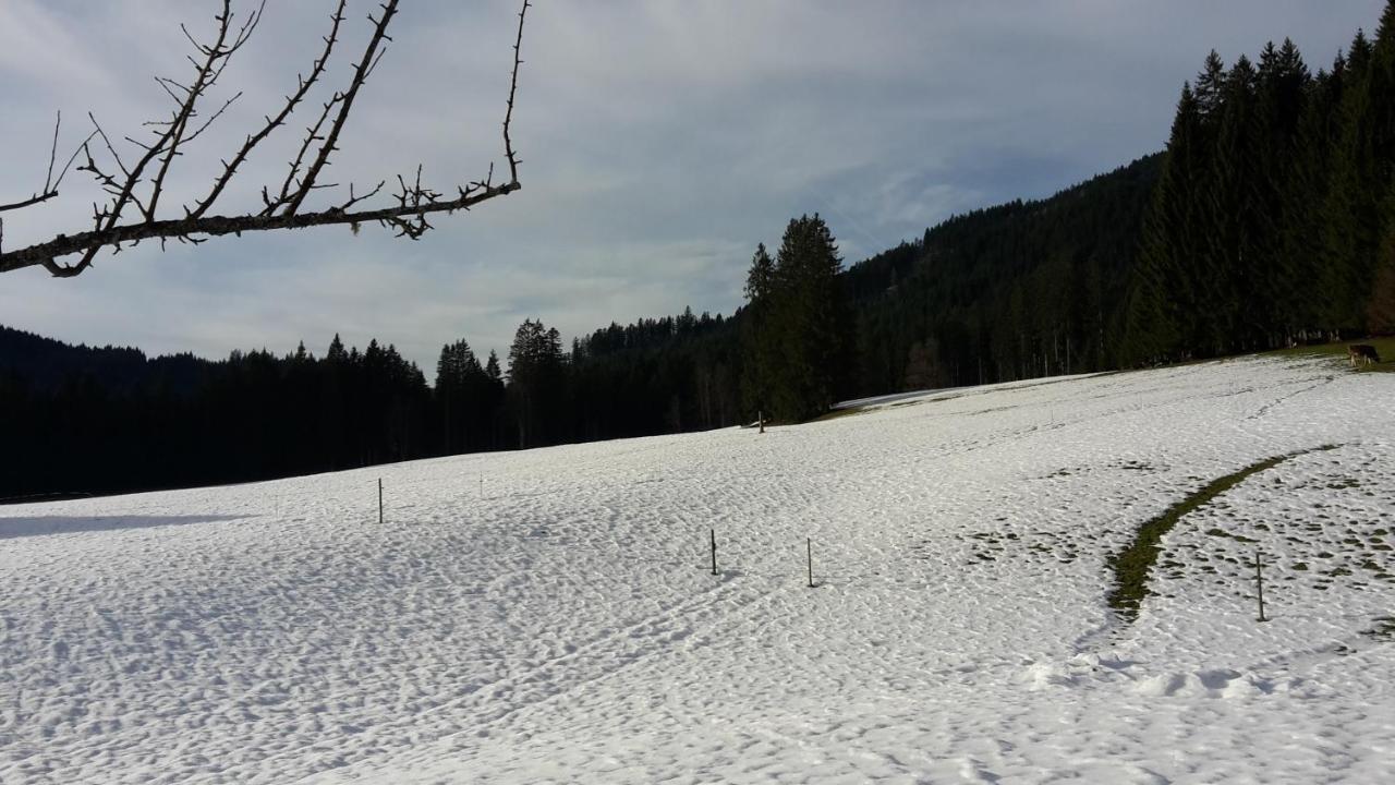 Hofstelle Auer Apartamento Gosau Exterior foto