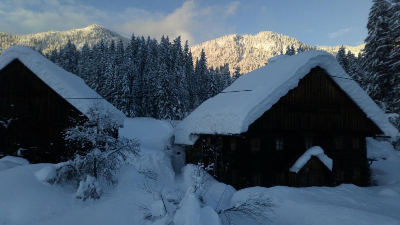 Hofstelle Auer Apartamento Gosau Exterior foto