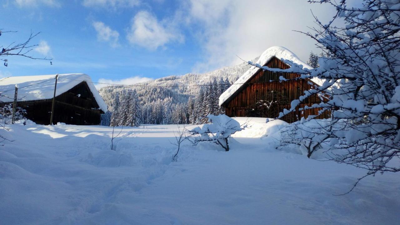 Hofstelle Auer Apartamento Gosau Exterior foto